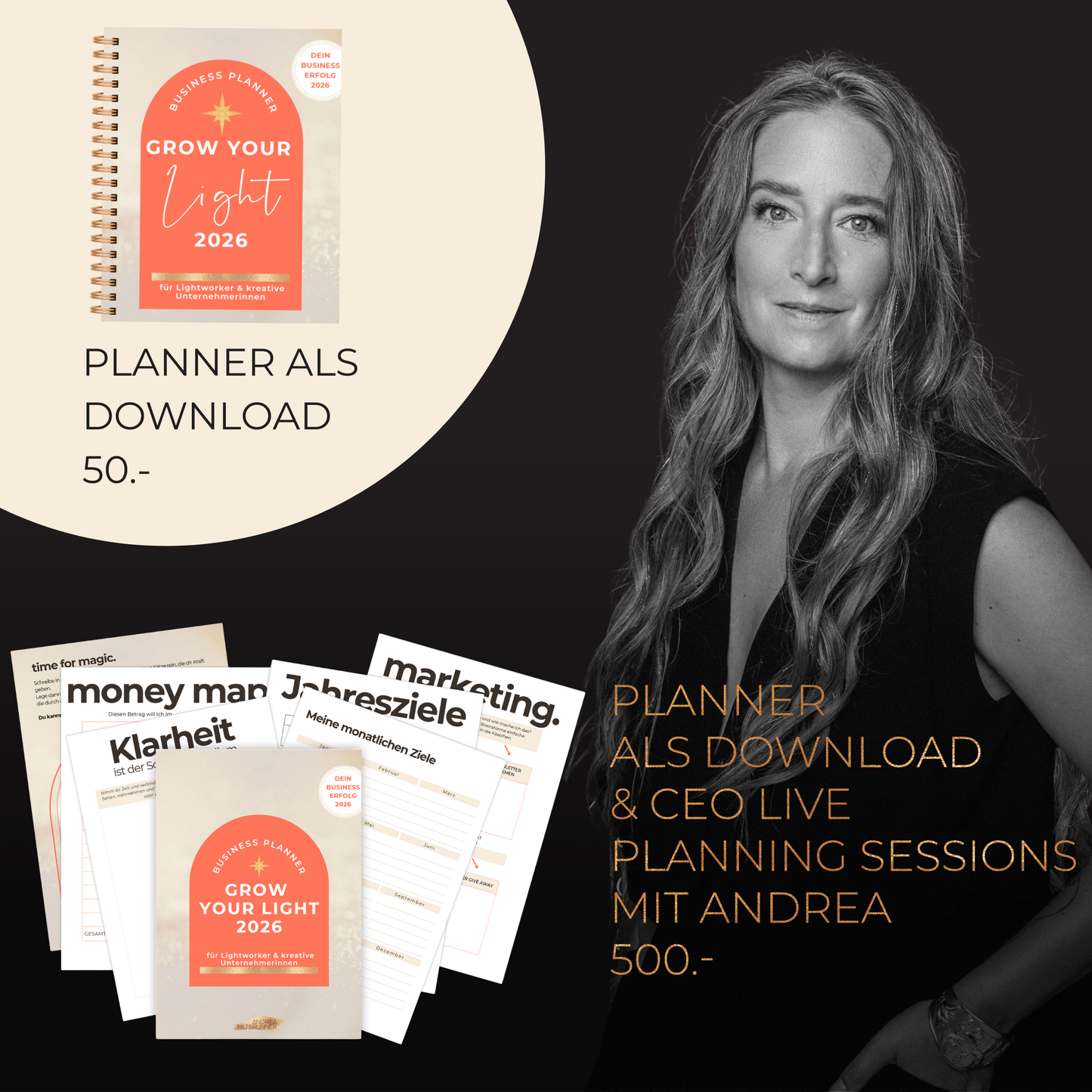 CEO STRATEGIE LIVE SESSIONS – UPGRADE
