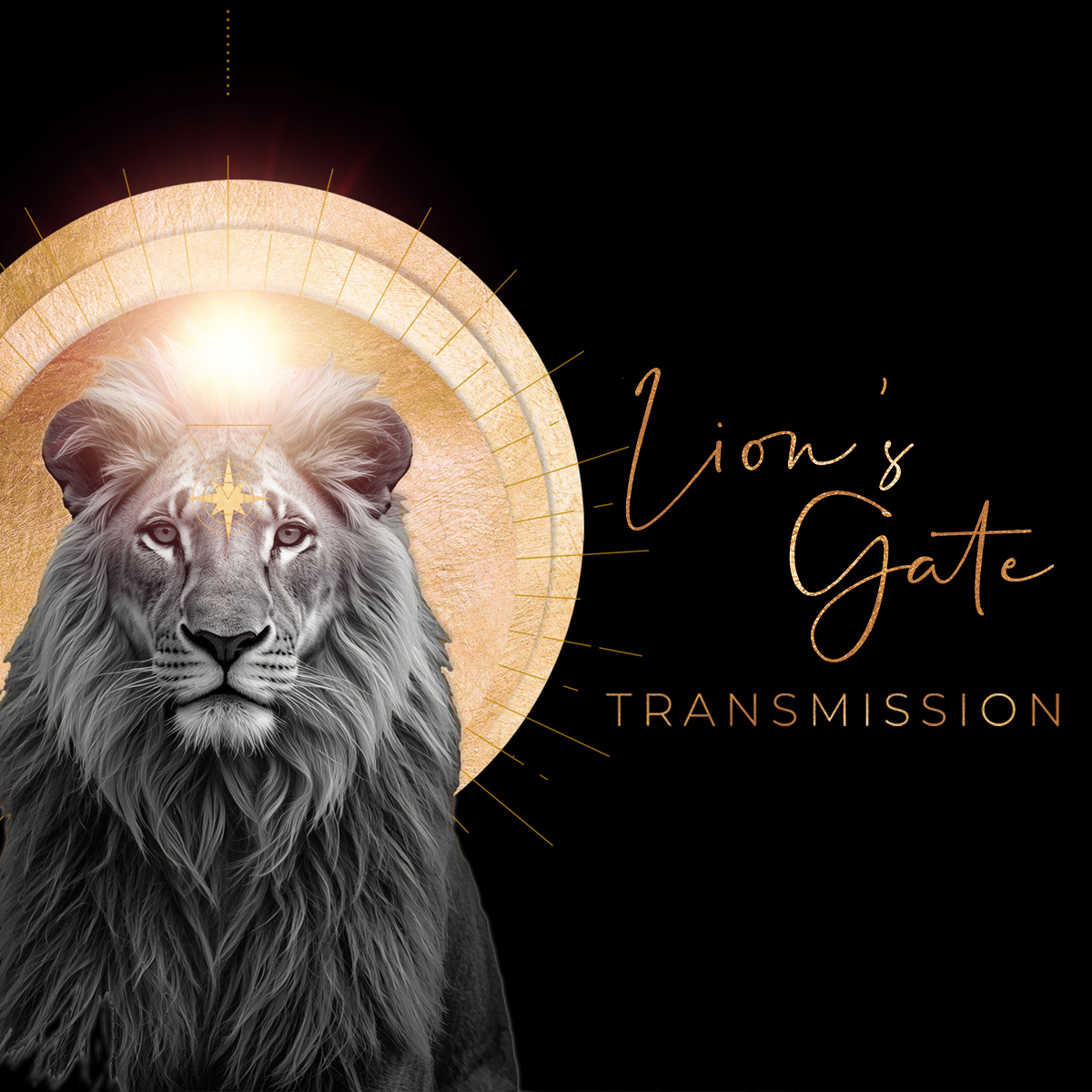 LIONS GATE TRANSMISSION